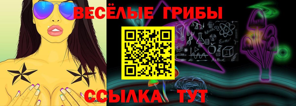 Галлюциногенные грибы Cubensis  Вход с VPN  Осинники 