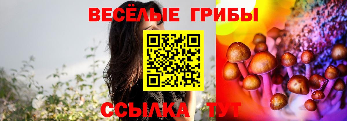 Галлюциногенные грибы мухоморы Осинники