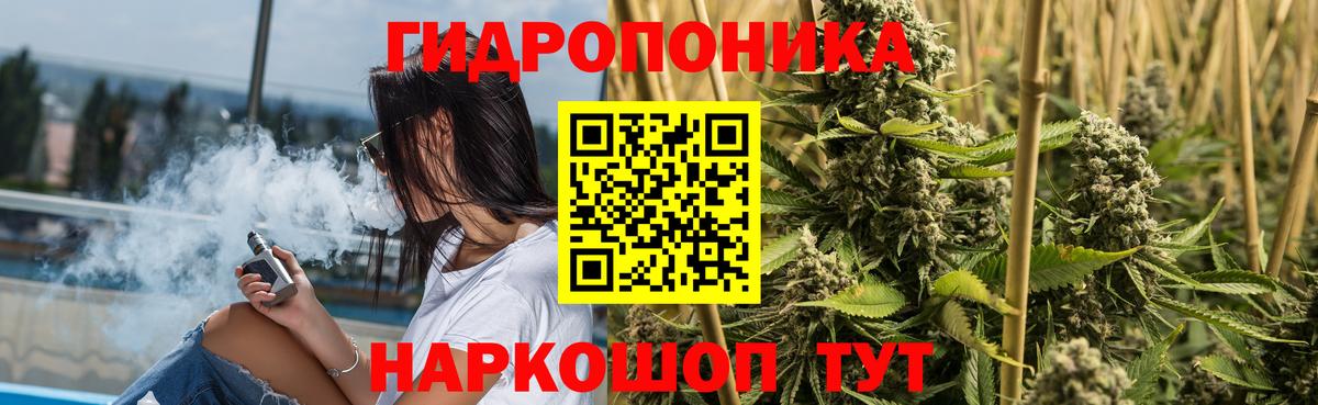Бошки Шишки THC 21% Осинники
